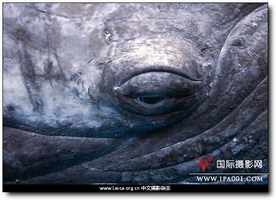 『摄影奖项』年度旅行摄影师奖 TPOY 2009 『摄影奖项』年度旅行摄影师奖 TPOY 2009