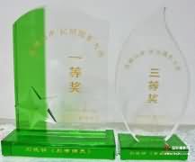 热烈祝贺IPA会员刘晓明获大奖
