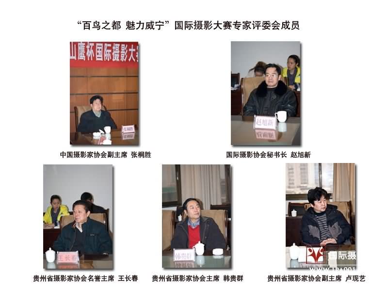 评委副本.jpg