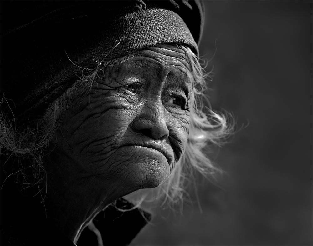 金奖赏析 · 评委解锁获奖密码（第29期）