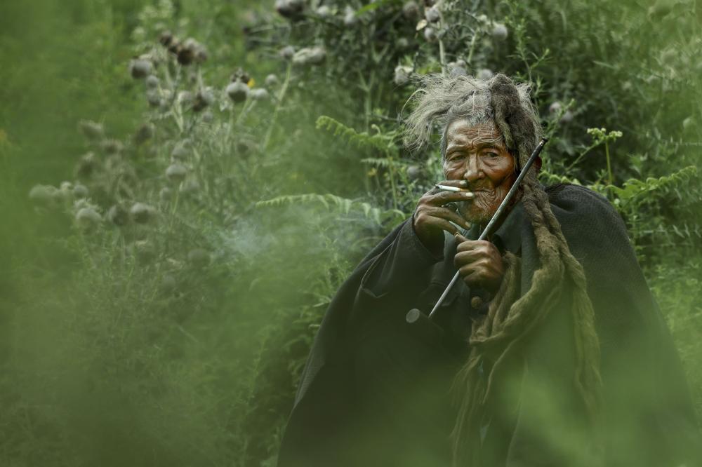 金奖赏析 · 评委解锁获奖密码（第42期）