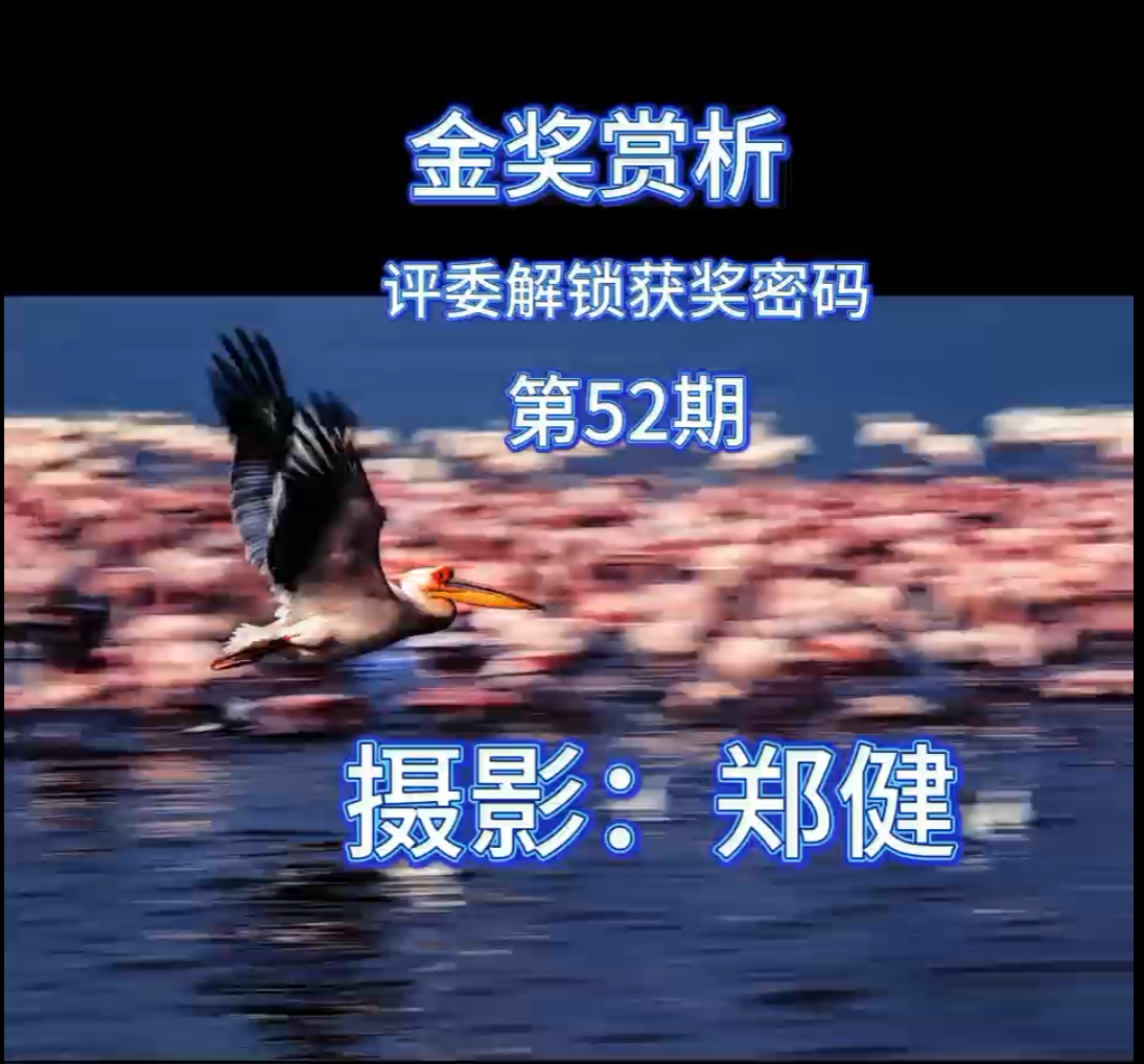 金奖赏析 · 评委解锁获奖密码（第52期）