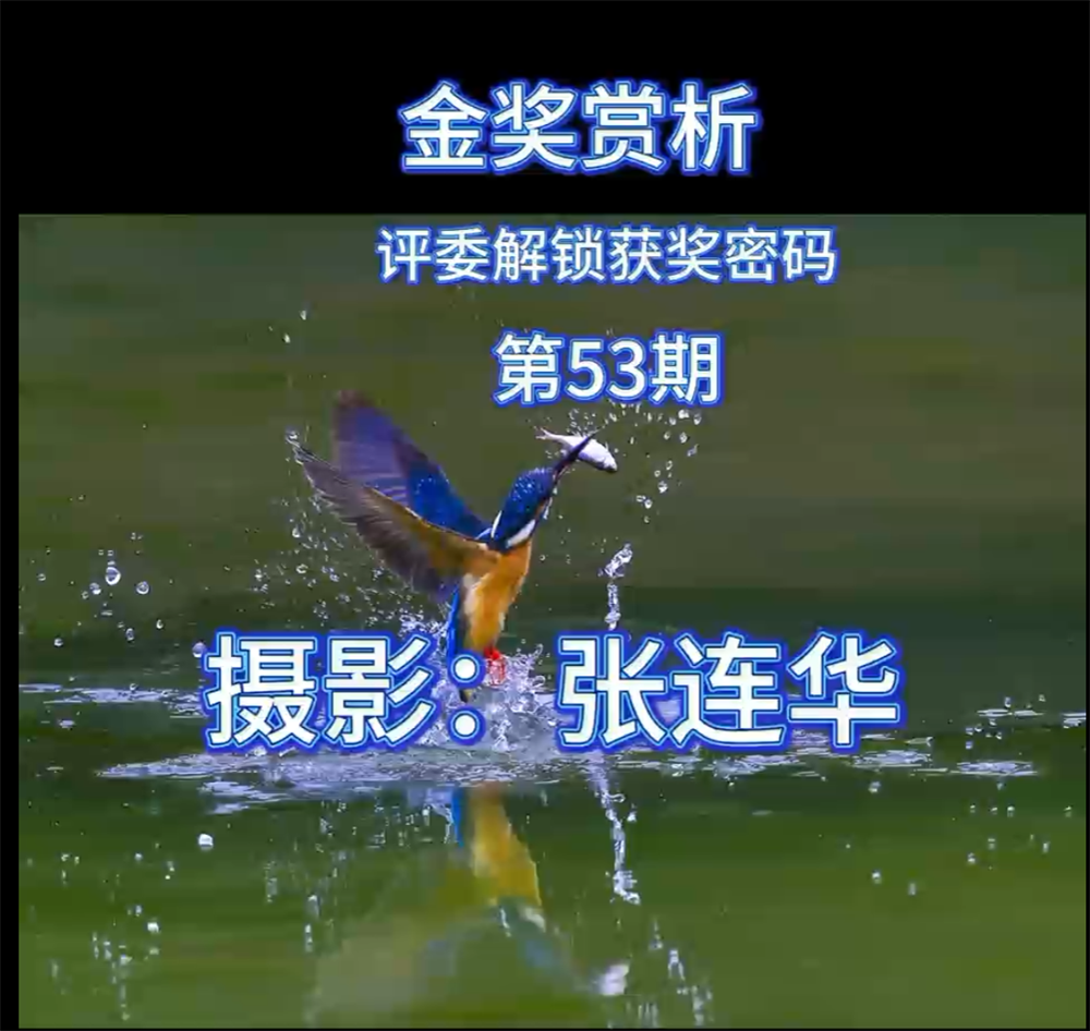 金奖赏析 · 评委解锁获奖密码（第53期）
