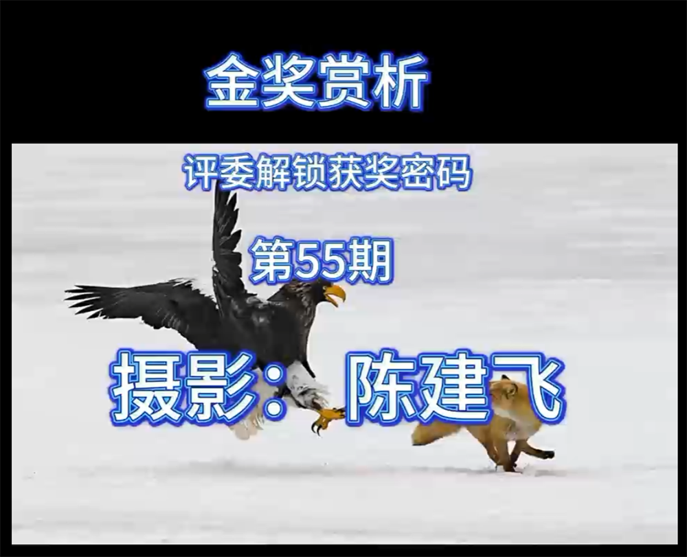 金奖赏析 · 评委解锁获奖密码（第55期）