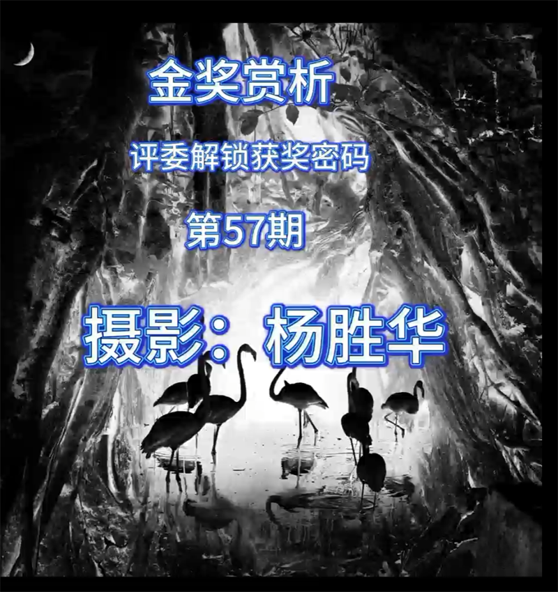 金奖赏析 · 评委解锁获奖密码（第57期）