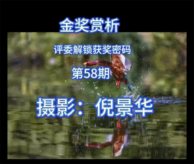 金奖赏析 · 评委解锁获奖密码（第58期）