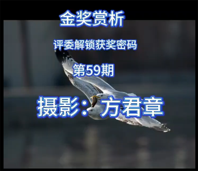 金奖赏析 · 评委解锁获奖密码（第59期）