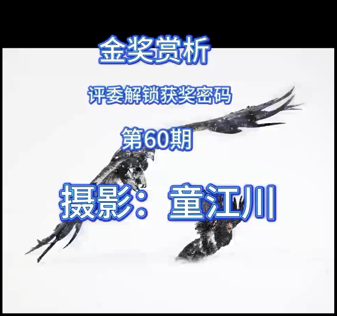 金奖赏析 · 评委解锁获奖密码（第60期）