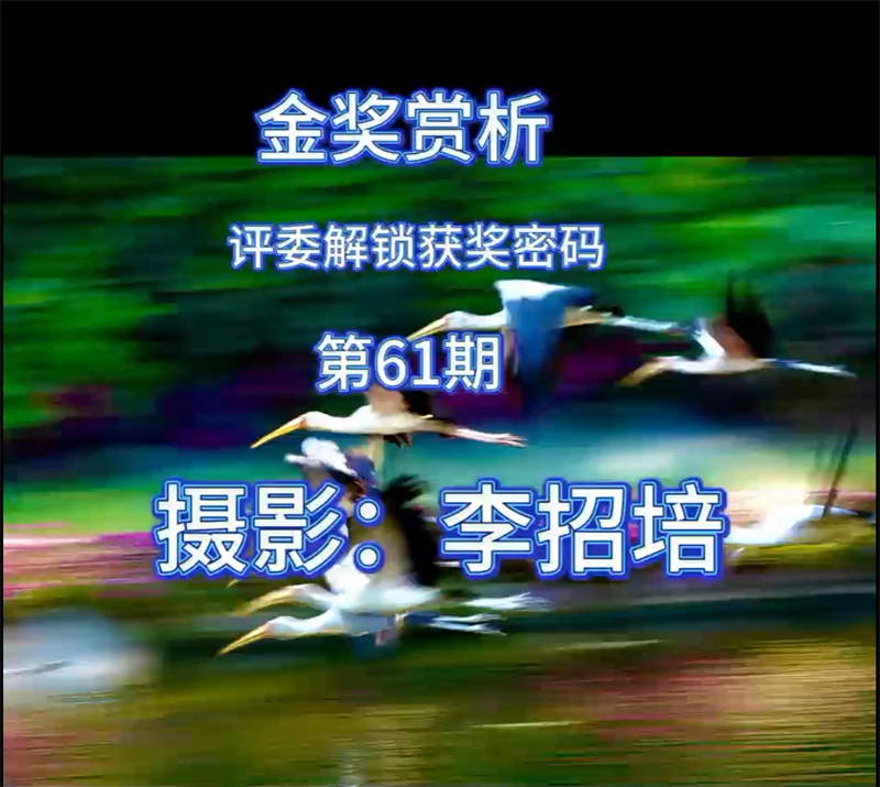 金奖赏析 · 评委解锁获奖密码（第61期）