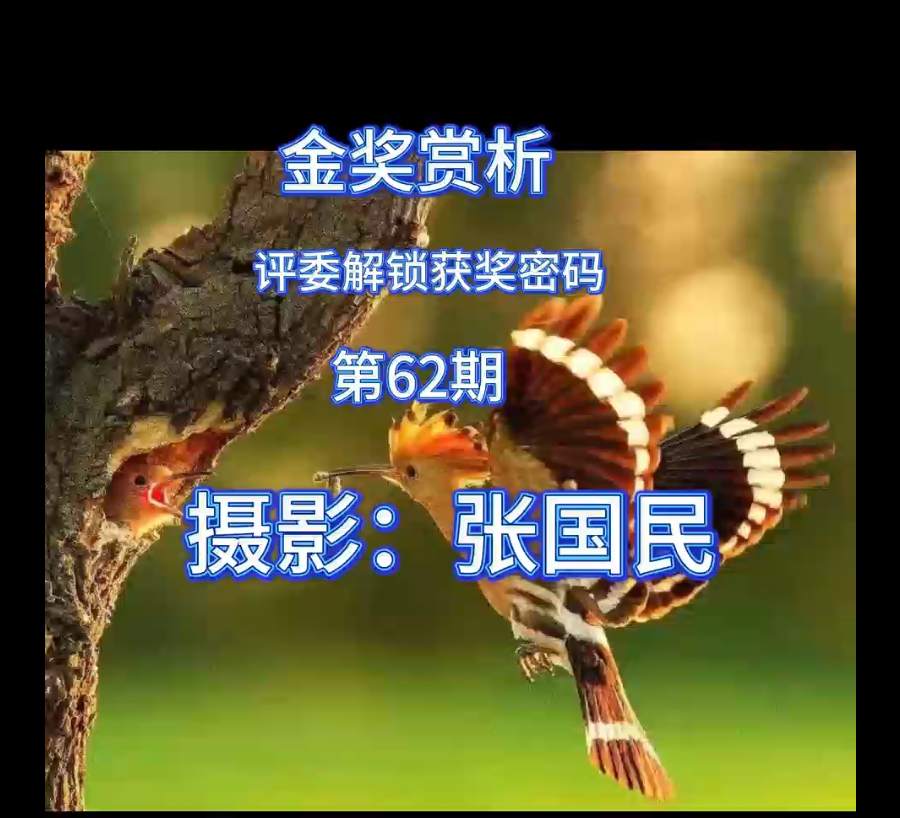 金奖赏析 · 评委解锁获奖密码（第62期）