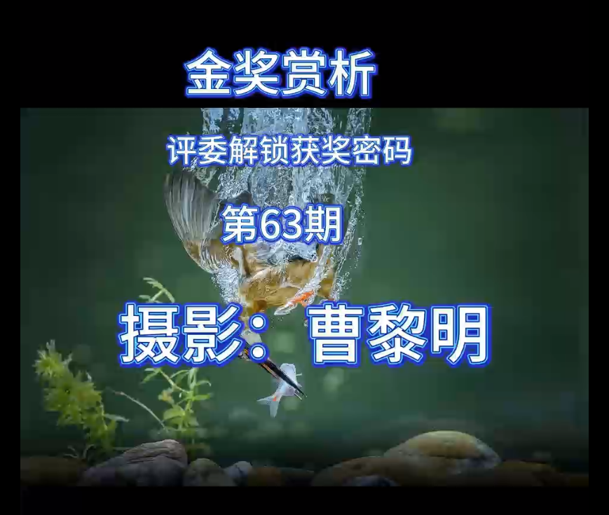 金奖赏析 · 评委解锁获奖密码（第63期）