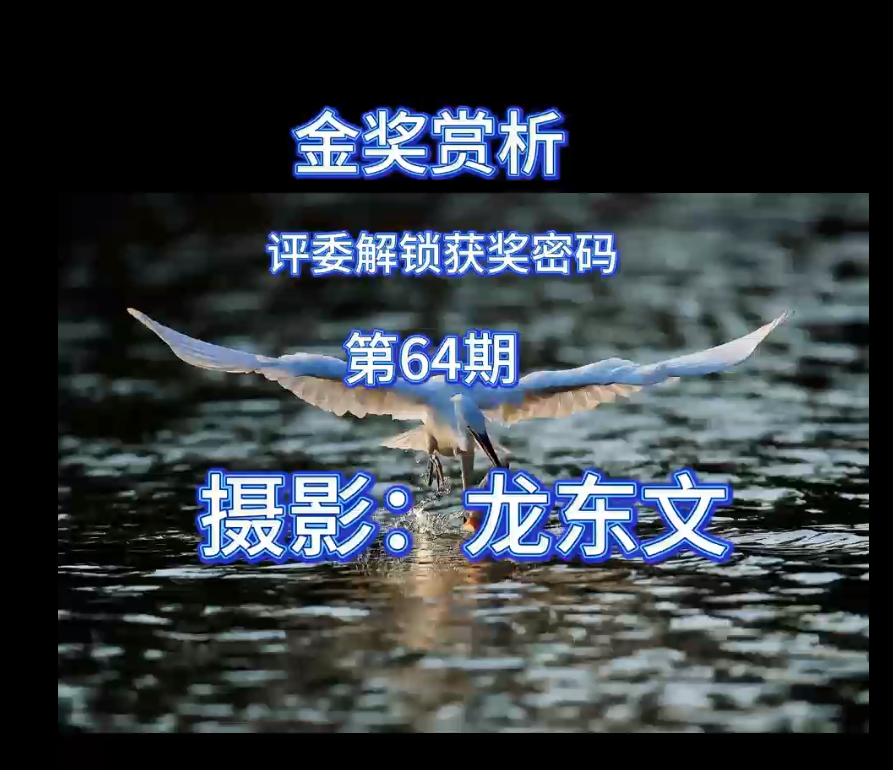 金奖赏析 · 评委解锁获奖密码（第64期）