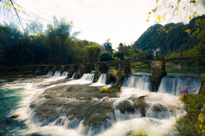 images