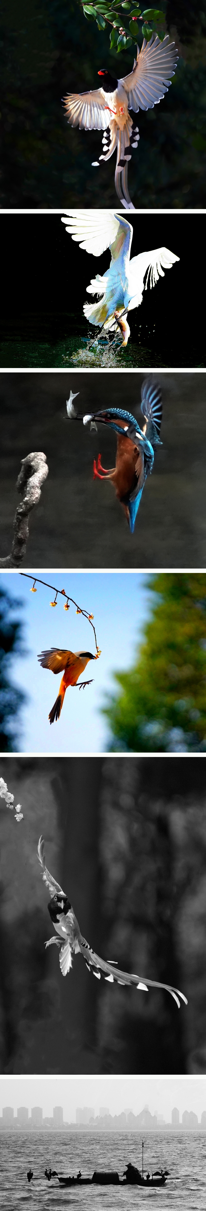 images
