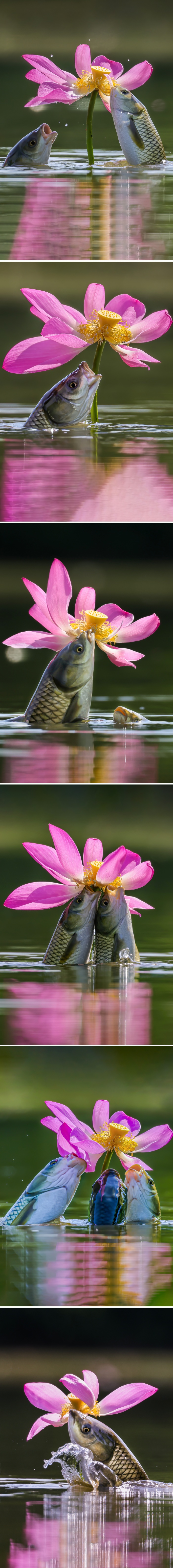 images