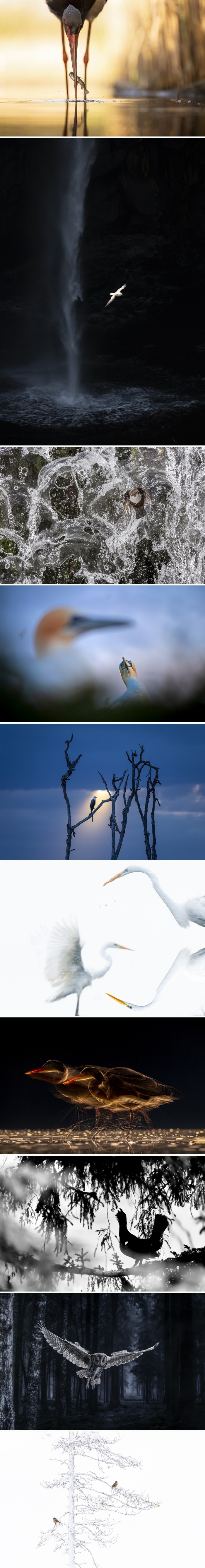 images