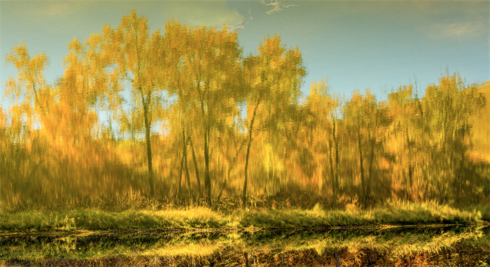 images