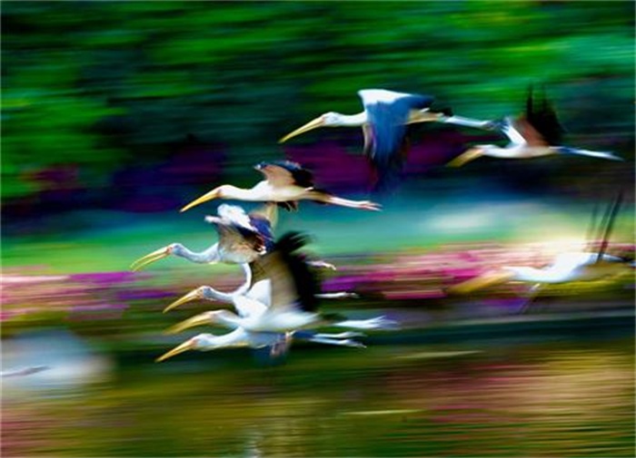 images