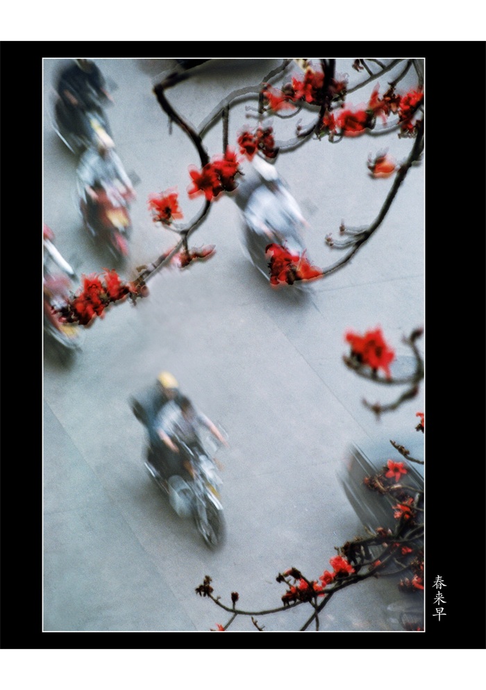 images