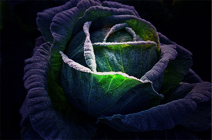 images