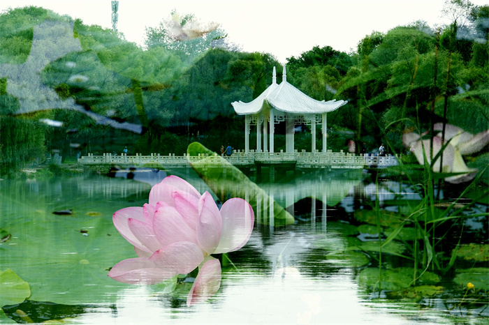 images