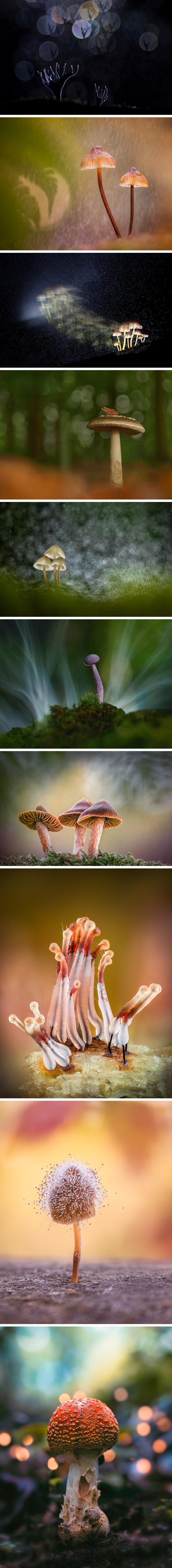 images