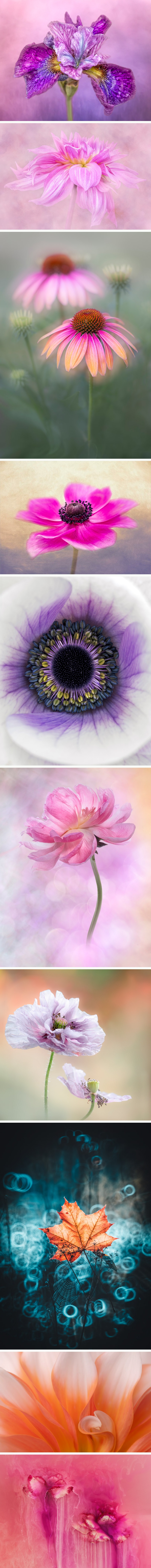 images