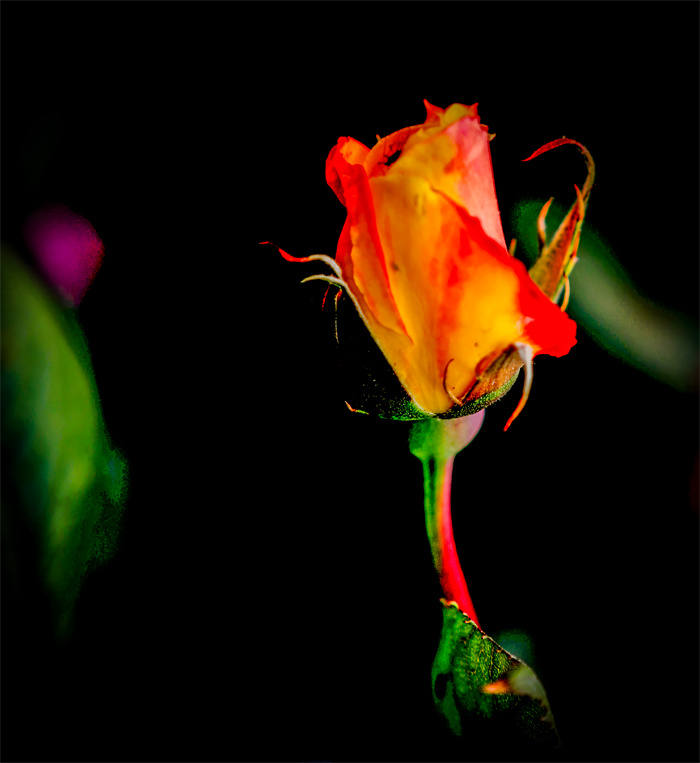 images