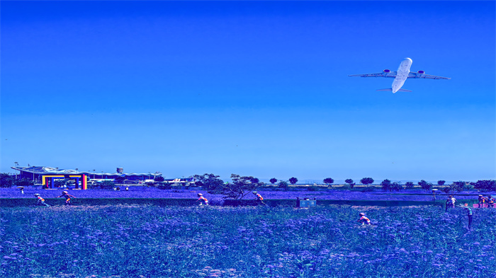 images