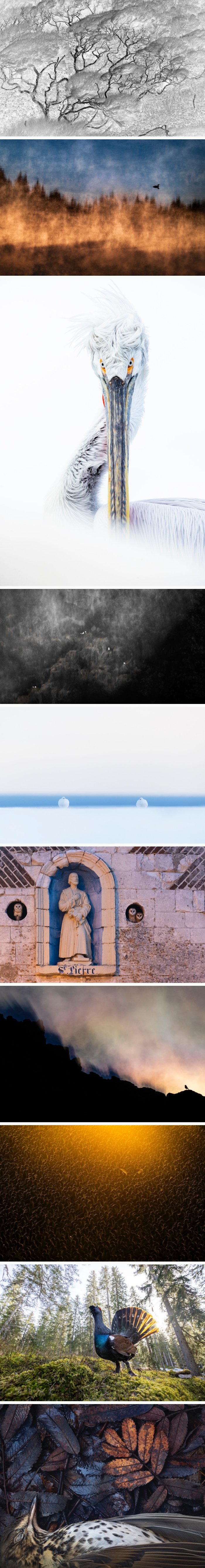images