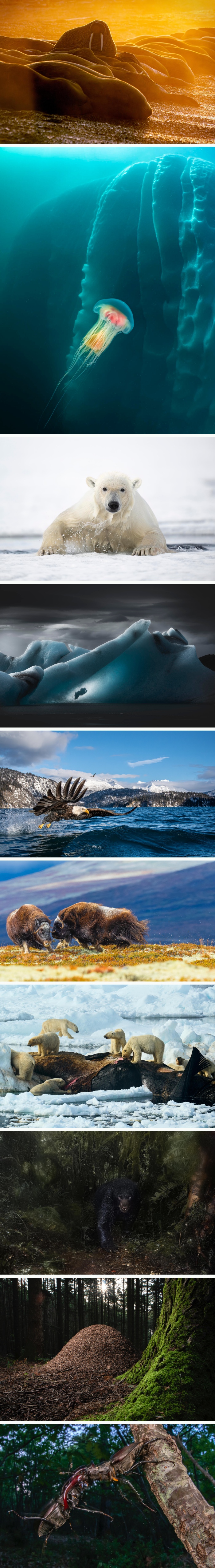 images