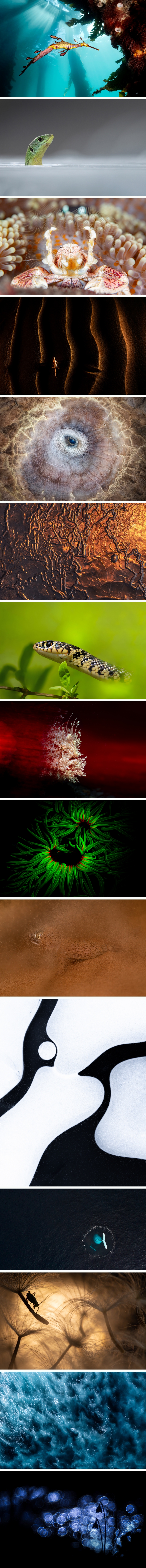 images