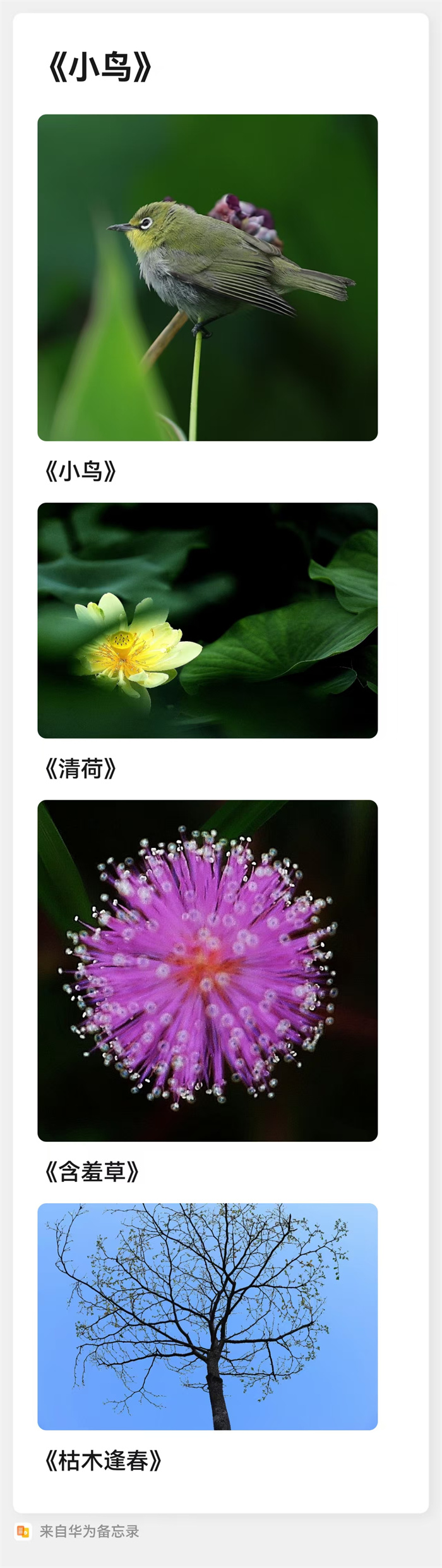 images