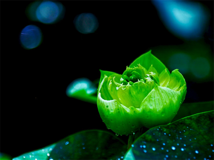 images