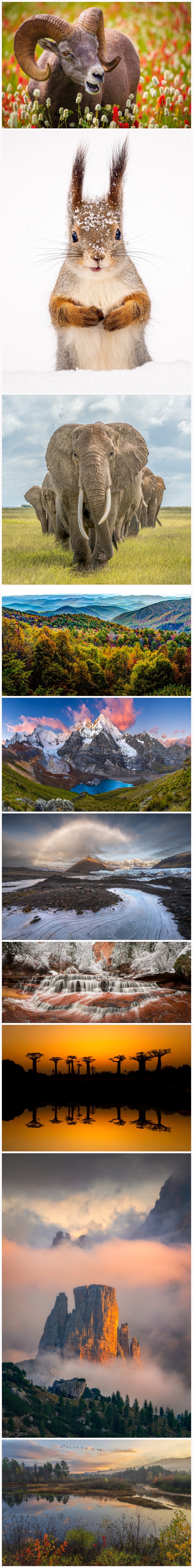 images