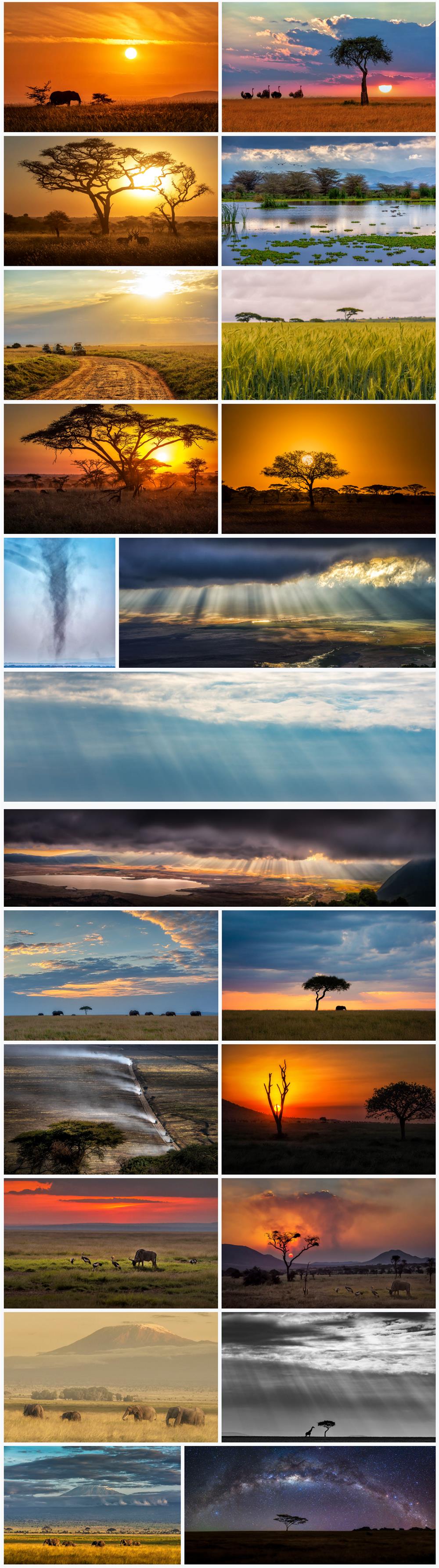images