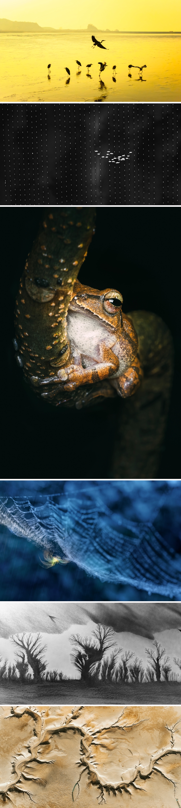 images