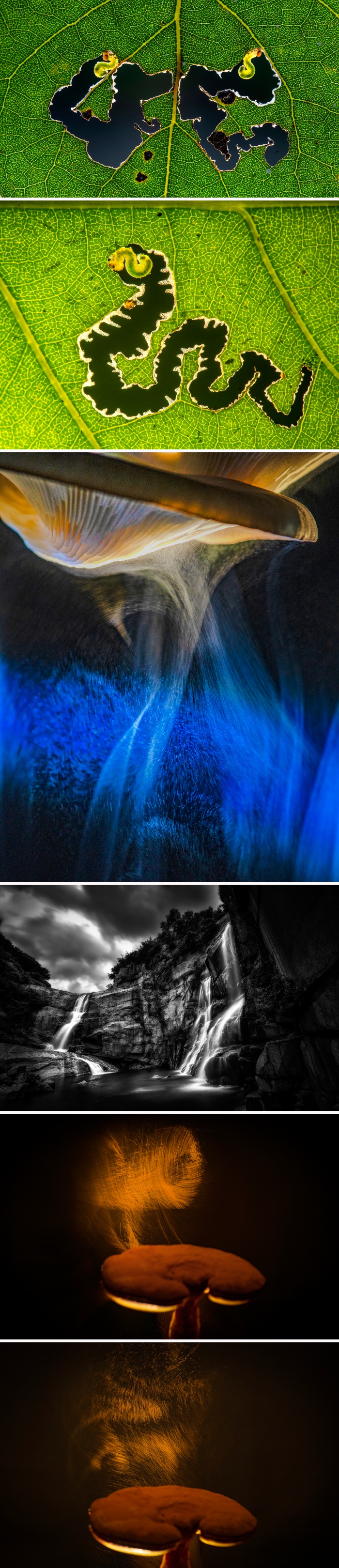 images