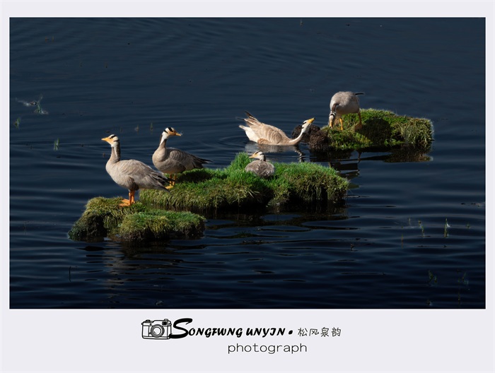 images