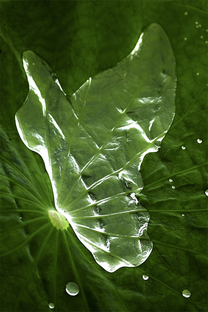 images