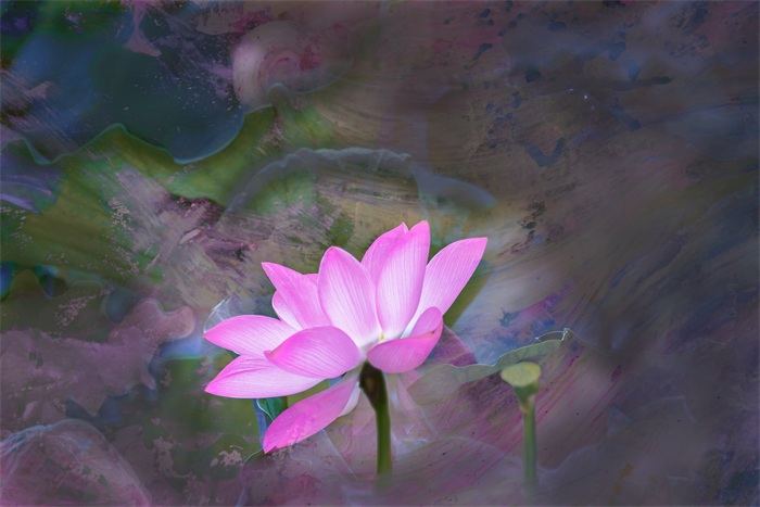 images